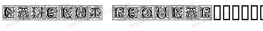 Camelot Regular字体转换